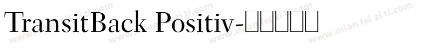 TransitBack Positiv字体转换